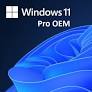 Windows 10/11 PRO OEM ONLİNE AKTİVASYON